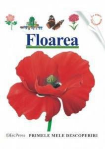 Floarea