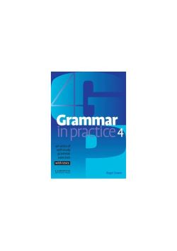 Grammar in Practice 4