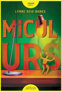 Micul urs