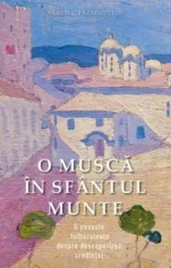 O musca in Sfantul Munte. O poveste tulburatoare despre descoperirea credintei de Vasilis G. Frangopulos