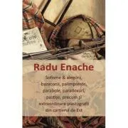 Sofisme si alegorii, bazaconii, palimpseste, parabole, paradoxuri, pastise, precum si extraordinare plastografii din cartierul de Est de Radu Enache