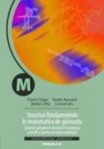 Structuri fundamentale in matematica de gimnaziu. Ghid de pregatire intensiva in invatarea curenta si pentru testarea nationala