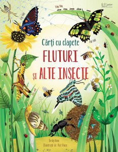 Fluturi si alte insecte