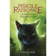 Pisicile Razboinice. Cartea 23. Razboinicul Uitat de Erin Hunter