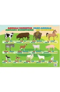 Plansa Animale domestice
