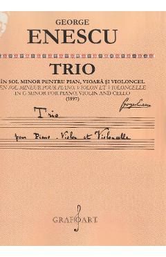 Trio in sol minor pentru pian, vioara si violoncel (1897)