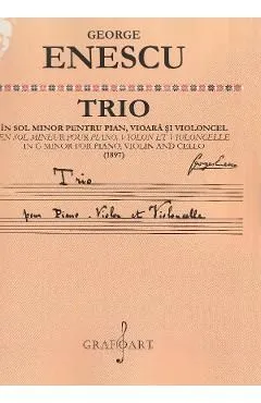 Trio in sol minor pentru pian, vioara si violoncel (1897) de George Enescu