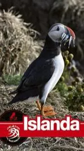 Ghid turistic Islanda