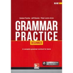Grammar Practice Beginner   e-zone
