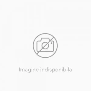 Limba germana Deutsch international. Casete audio. Clasa a X-a de Adriana Gheorghe