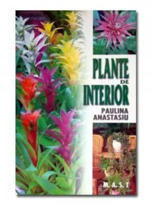 Plante de interior de Paulina Anastasiu