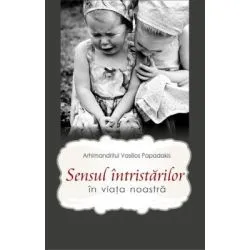 Sensul intristarilor in viata noastra de Arhimandritul Vasilios Papadakis