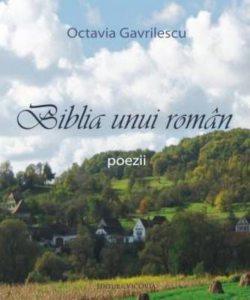 Biblia unui roman
