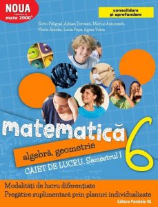 Mate Consolidare. Cls. VI. Partea I, Ed. 6