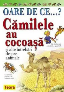 Oare de ce? Camilele au cocoasa