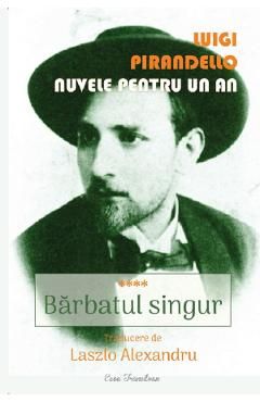 Nuvele pentru un an. Vol.4: Barbatul singur