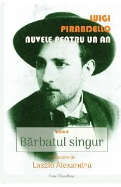 Nuvele pentru un an. Vol.4: Barbatul singur