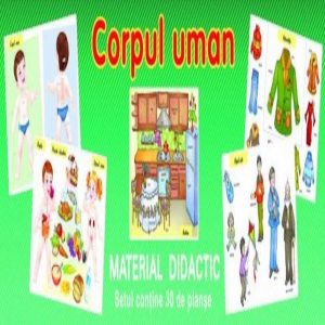 Planse - Corpul Uman