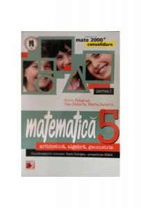 Matematică. Consolidare. Aritmetică, algebră, geometrie. Clasa a 5-a. Partea I