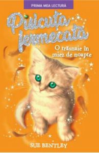 Pisicuta fermecata. O trasnaie in miez de noapte