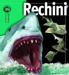 Rechini de Beverly McMillan