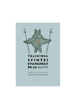Tâlcuirea Sfintei Evanghelii de la Matei (Vol. 1)