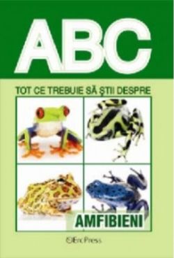 Tot ce trebuie să știi despre amfibieni
