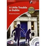 A Little Trouble in Dublin de Richard MacAndrew
