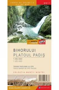 Muntii Bihorului de Platoul Padis