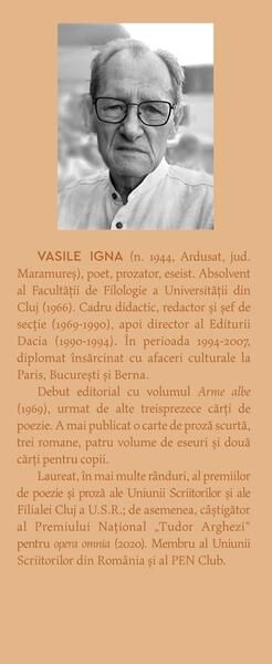 Cele două turnuri. Stăpânul inelelor (Vol. 2)