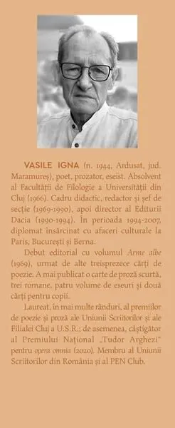 Cele două turnuri. Stăpânul inelelor (Vol. 2)