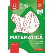 Matematica. Algebra, geometrie. Caiet de lucru. 2024 Clasa a 8-a. Initiere. Partea I de Ion Tudor