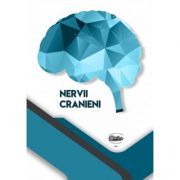 Nervii cranieni