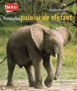 Povestea puiului de elefant de Sandra Grimm