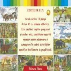 Set planse animale salbatice