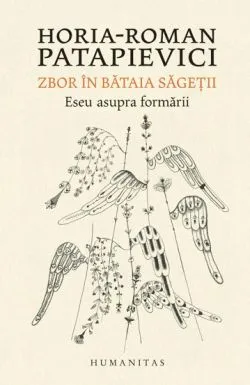 Zbor in bataia sagetii