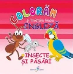 Colorăm şi învăţăm limba engleză. Nr.3. Insecte şi păsări de Roxana Geanta