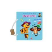 Insecte de Silvia Ursache