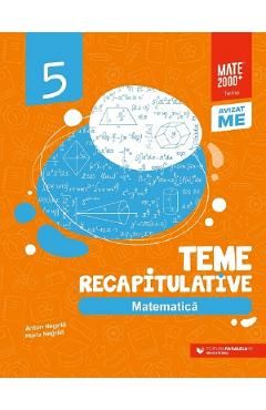Matematica - Clasa 5 - Teme recapitulative