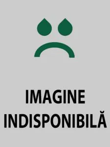 Cercuri de foc