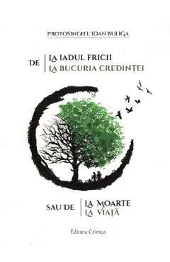 De la iadul fricii la bucuria credintei sau de la moarte la viata de Ioan Buliga
