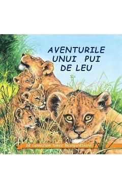 Aventurile unui pui de leu