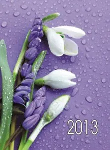 Calendar de perete 2013 - Flori