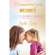 Ce inseamna sa fii mama. Reflectarea bucuriei si a frumusetii in viata de familie