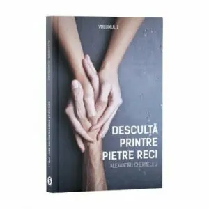 Desculta printre pietre reci de Alex Chermeleu