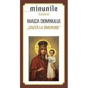 Minunile icoanei Maica Domnului „Cauta la smerenie”. Traducere: Gheorghita Ciocioi de Gheorghita Ciocioi