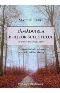Tamaduirea bolilor sufletului de Matteo Zuppi