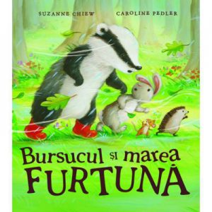 Bursucul si marea furtuna