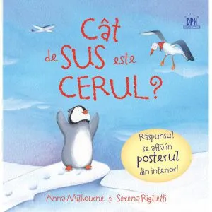 Cat de sus este cerul ? de Serena Riglietti