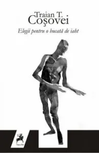 Elegii pentru o bucata de iaht de Traian T. Cosovei